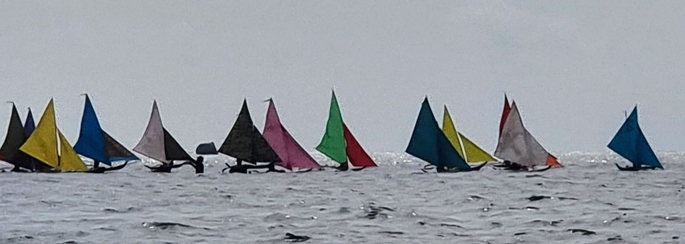 Rows of colorful jong sails