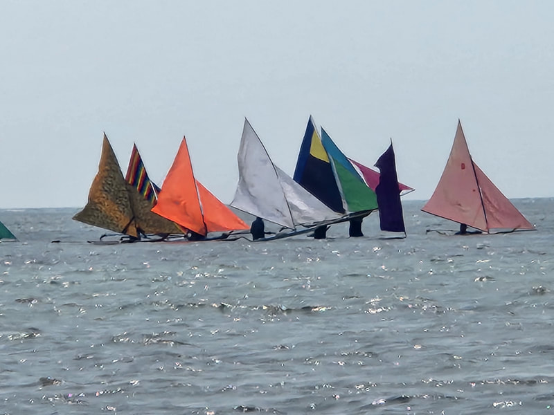 Jongs racing under a steady Selatan wind