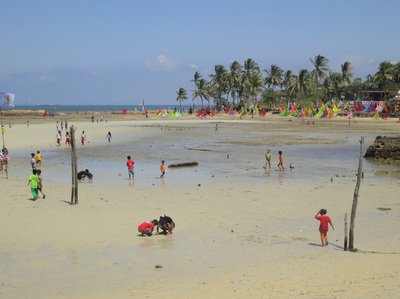 Batam, Batu Besar, 2015 — photo 122