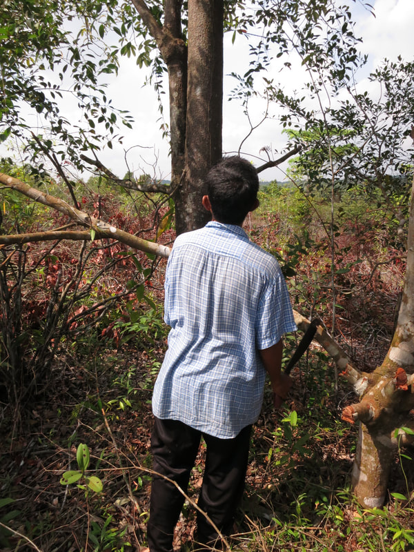 Wood and building the jong — photo 1