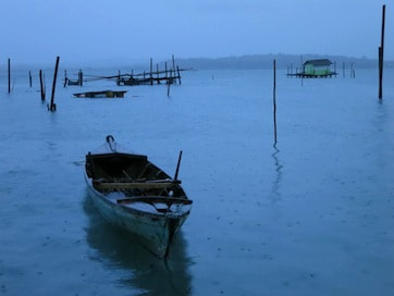 Penyengat, 2013 — photo 31