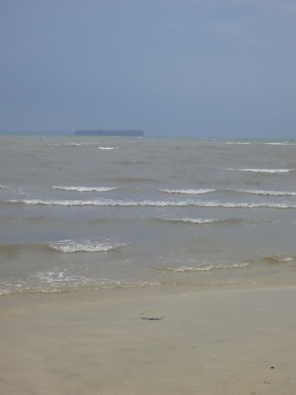 Dompak, 2013 — photo 38