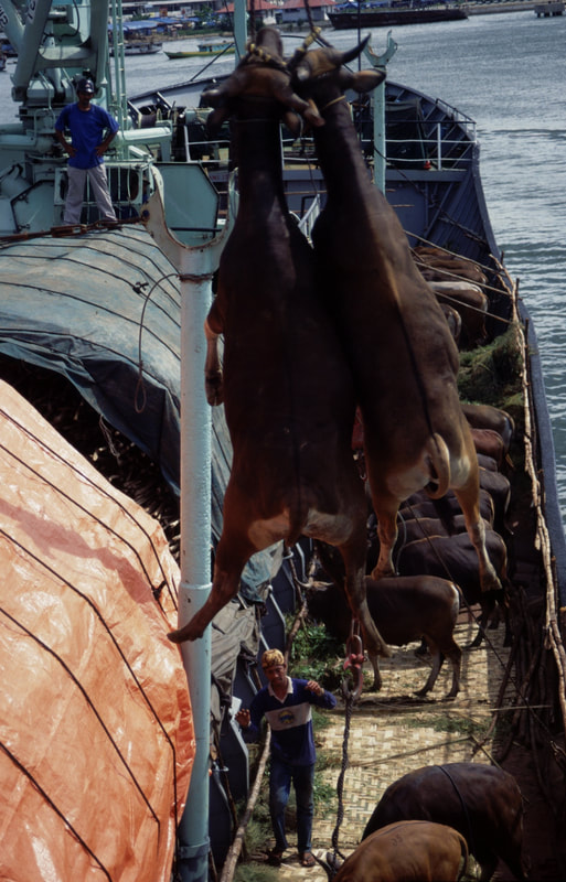 Ships in Indonesia, 1992-2012 — photo 8