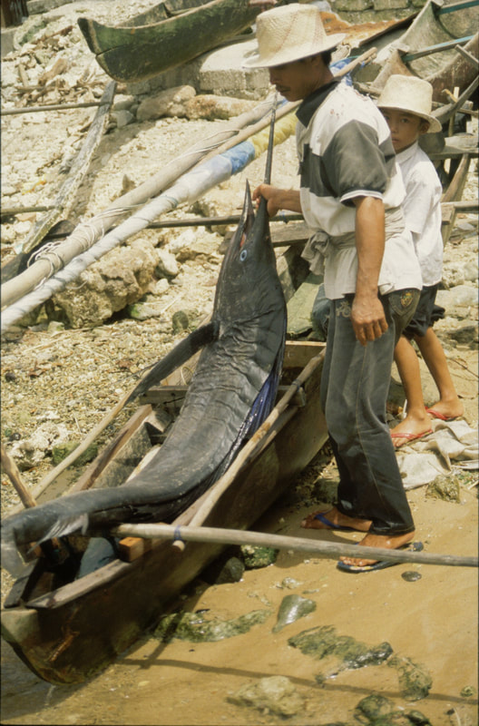Ships in Indonesia, 1992-2012 — photo 29