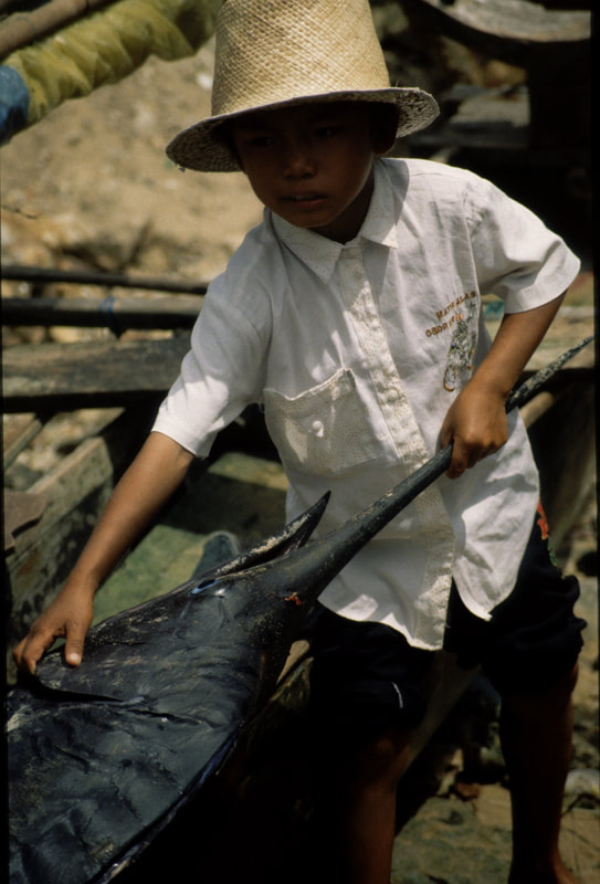 Ships in Indonesia, 1992-2012 — photo 32